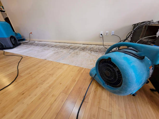 Professional Water Damage Repair technician working in Franklin, OH